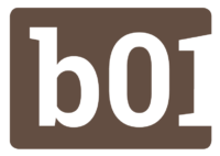binaer-logo-icon.png